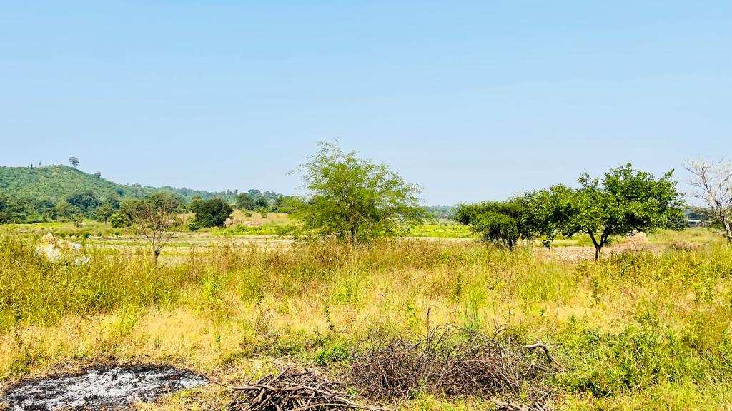  Agricultural Land 55 Acre for Sale in Karjat, Mumbai