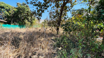  Agricultural Land for Sale in Karjat, Mumbai