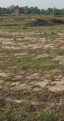  Residential Plot 90000 Sq.ft. for Sale in Faizabad Road, Lucknow