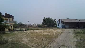  Commercial Land for Rent in Azizganj, Shahjahanpur