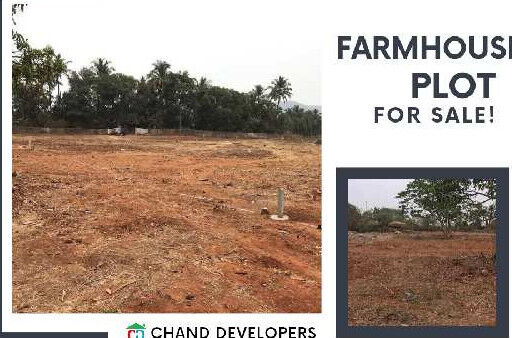 1 RK Farm House 5000 Sq.ft. for Sale in Murud, Raigad