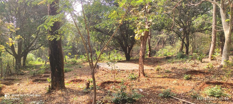  Agricultural Land 20000 Sq.ft. for Sale in Karjat, Mumbai