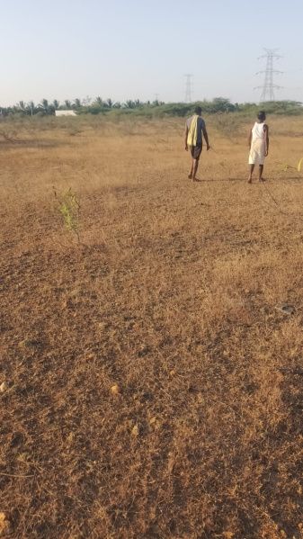  Agricultural Land 8 Acre for Sale in Hiriyur, Chitradurga