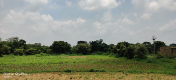  Agricultural Land for Rent in Gogunda, Udaipur