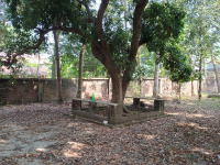  Residential Plot for Sale in Dankuni, Kolkata