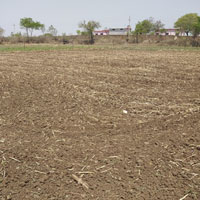  Commercial Land for Sale in Malhargarh, Mandsaur