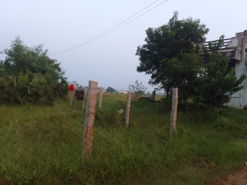  600 Sq.ft. Residential Plot for Sale in Periapalayam, Thiruvallur