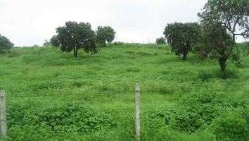  Agricultural Land for Sale in Mubarakpur, Bhopal