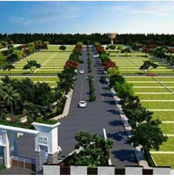  Residential Plot for Sale in Delhi More, Darbhanga