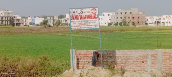  Residential Plot for Sale in Delhi More, Darbhanga