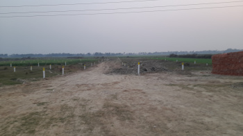  Residential Plot for Sale in Mabbi Belauna, Darbhanga