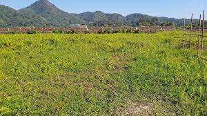  Commercial Land for Sale in Kala Pahar, Guwahati