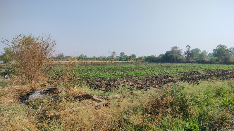  1 Acre Agricultural/Farm Land for Sale in Tandur, Vikarabad
