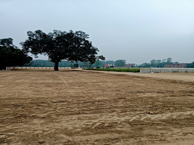  1250 Sq.ft. Residential Plot for Sale in Gosainganj, Lucknow