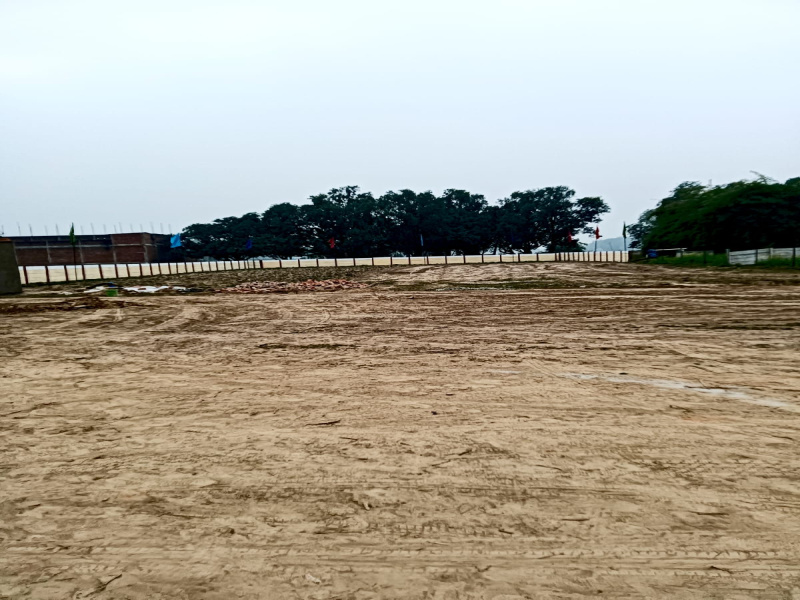  1250 Sq.ft. Residential Plot for Sale in Gosainganj, Lucknow
