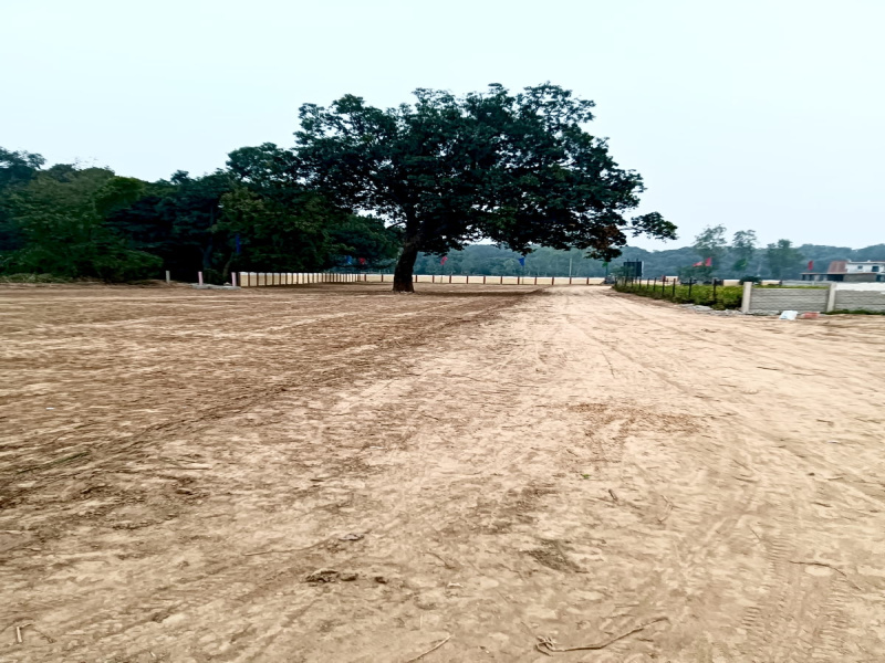  1250 Sq.ft. Residential Plot for Sale in Gosainganj, Lucknow