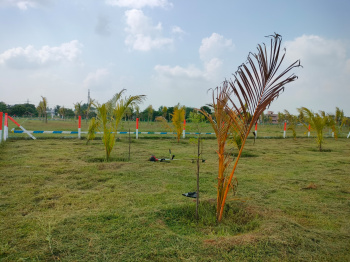  Residential Plot for Sale in Madurantakam, Chennai