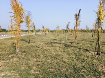  Agricultural Land for Sale in Padalam, Chennai