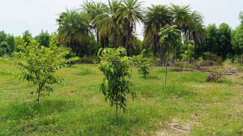  Agricultural Land for Sale in Chengalpet, Chennai