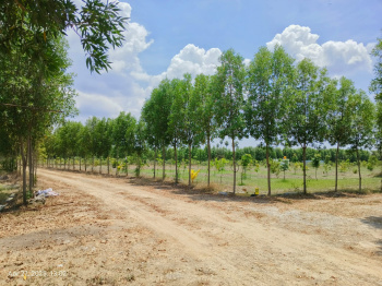  Agricultural Land for Sale in Chengalpet, Chennai