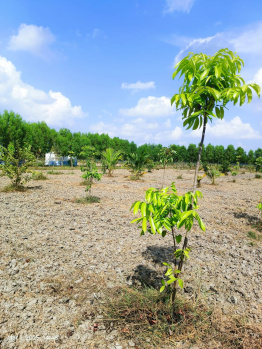  Agricultural Land for Sale in Uthramerur, Chennai