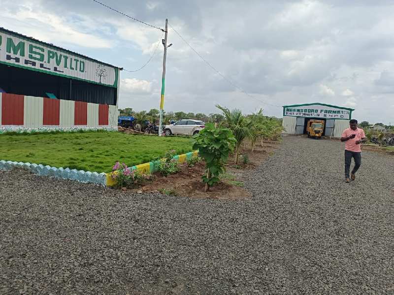 Agricultural Land 605 Sq. Yards for Sale in