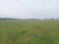  Agricultural Land for Rent in Chettipalayam, Coimbatore