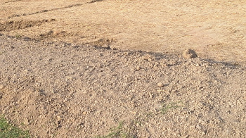  Residential Plot for Sale in Rohania, Varanasi