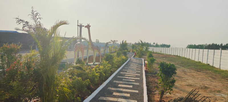  Residential Plot 600 Sq.ft. for Sale in Parandur, Kanchipuram