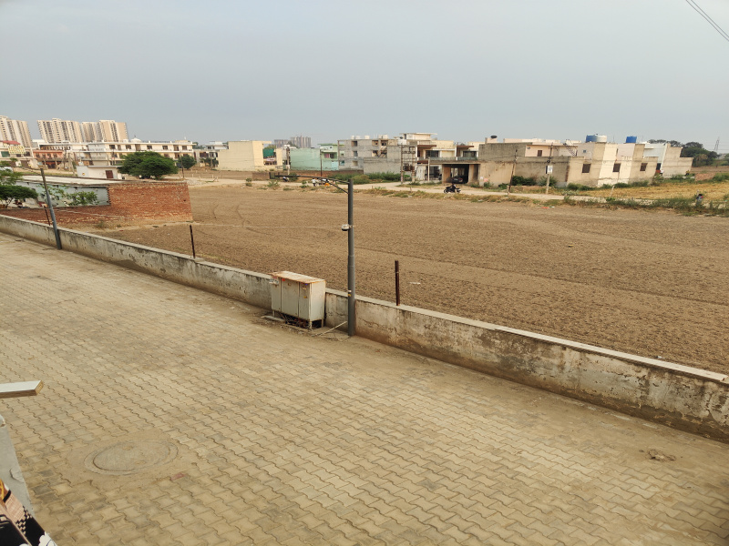 1 BHK 600 Sq.ft. Apartment for Sale in Sector 116 Mohali