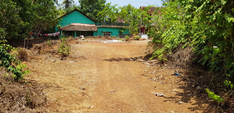  Residential Plot 533 Sq. Meter for Sale in Loutolim, South Goa, 