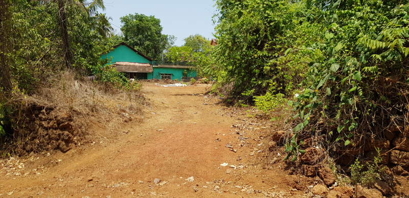  Residential Plot 533 Sq. Meter for Sale in Loutolim, South Goa, 