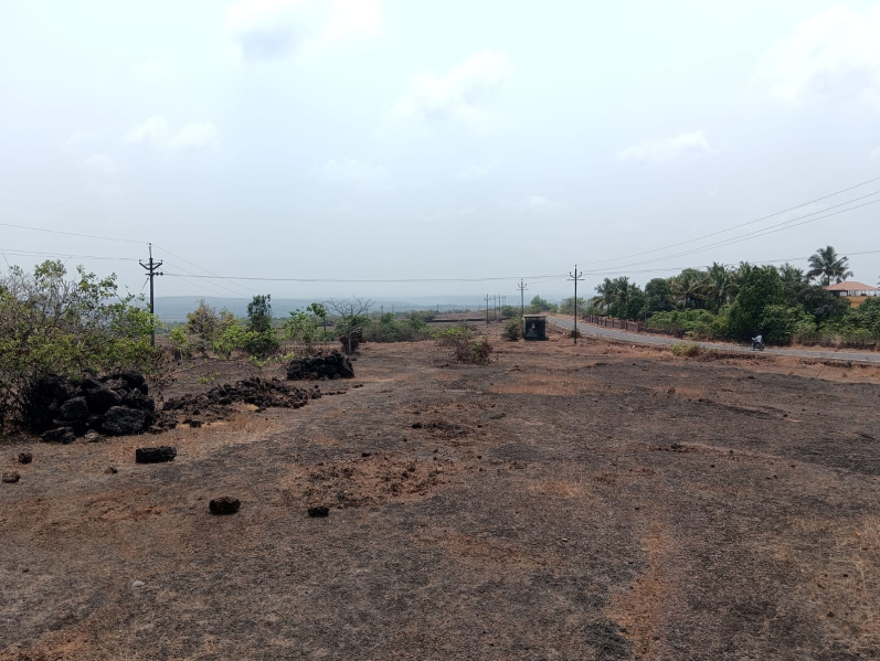  Agricultural Land 36 Acre for Sale in Devgad, Sindhudurg