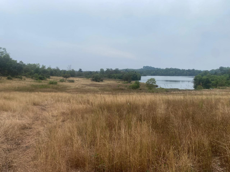  Residential Plot 60 Guntha for Sale in Vengurla, Sindhudurg