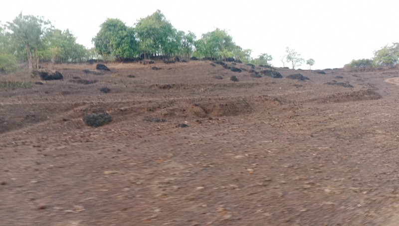  Agricultural Land 55 Acre for Sale in Kudal, Sindhudurg