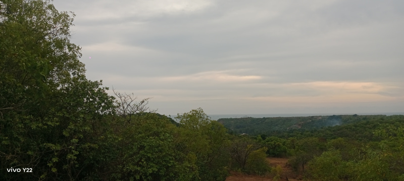  Commercial Land 3 Acre for Sale in Vengurla, Sindhudurg