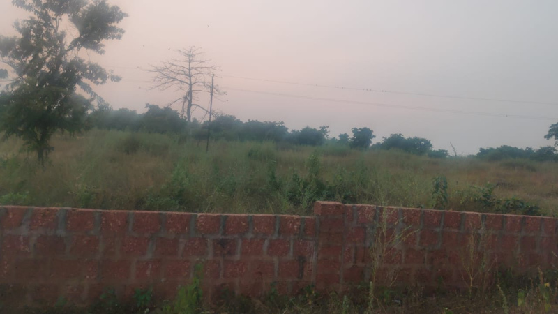  Residential Plot 2 Acre for Sale in Vengurla, Sindhudurg
