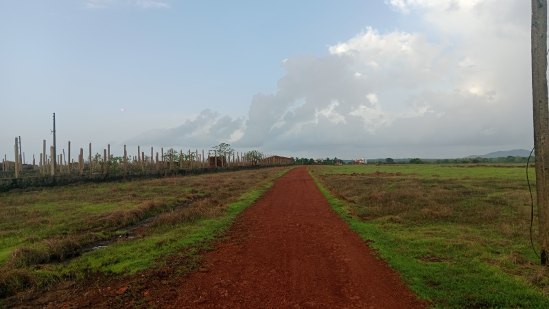  Residential Plot 16 Acre for Sale in Vengurla, Sindhudurg