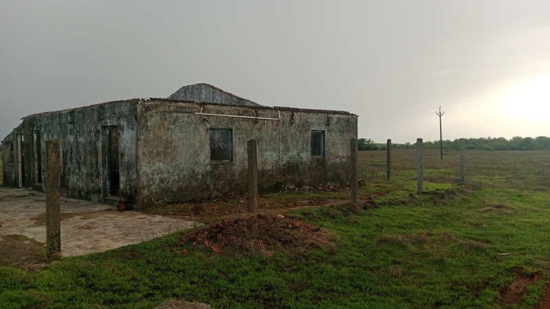  Residential Plot 16 Acre for Sale in Vengurla, Sindhudurg