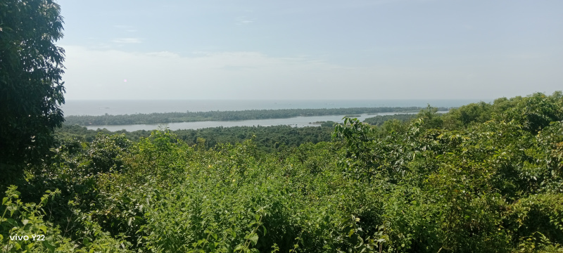  152 Guntha Commercial Land for Sale in Vengurla, Sindhudurg