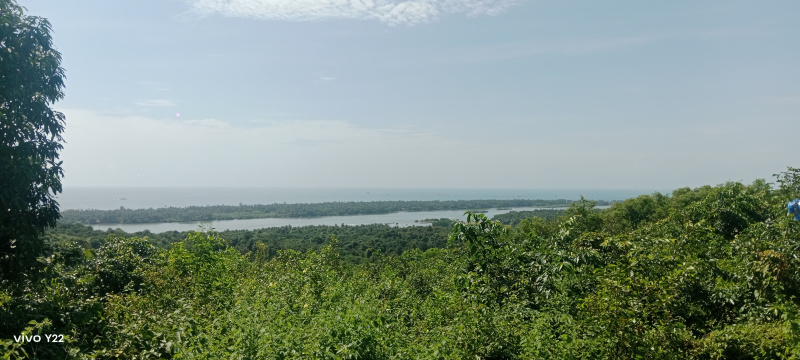  152 Guntha Commercial Land for Sale in Vengurla, Sindhudurg