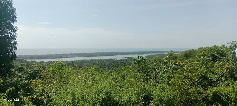  152 Guntha Commercial Land for Sale in Vengurla, Sindhudurg