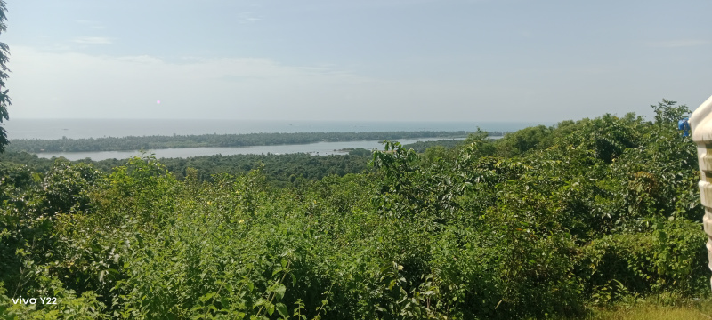  152 Guntha Commercial Land for Sale in Vengurla, Sindhudurg