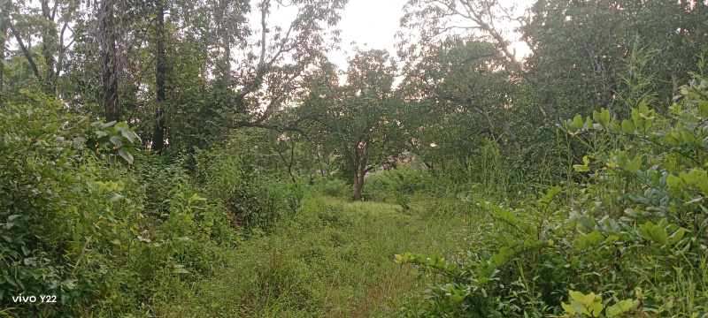  50 Guntha Commercial Land for Sale in Kudal, Sindhudurg