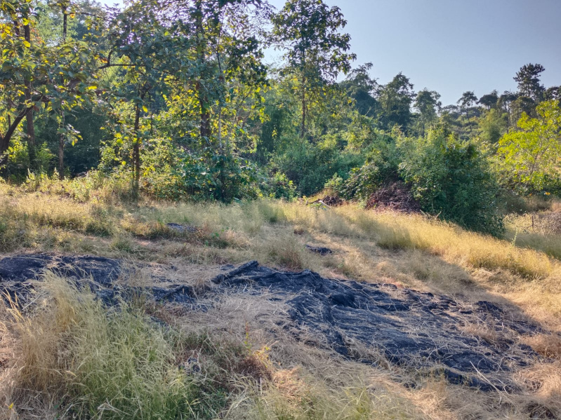  107 Guntha Agricultural/Farm Land for Sale in Kudal, Sindhudurg