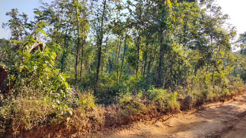  107 Guntha Agricultural/Farm Land for Sale in Kudal, Sindhudurg