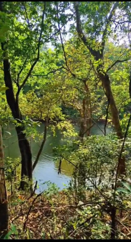  40 Guntha Residential Plot for Sale in Kudal, Sindhudurg