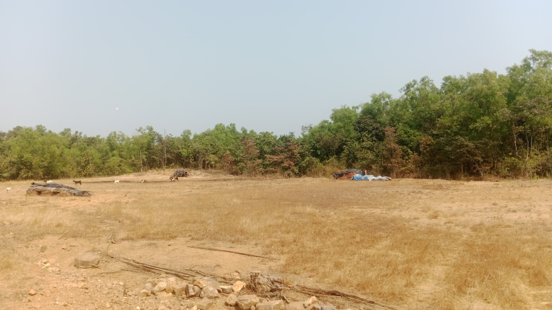  24 Acre Residential Plot for Sale in Kudal, Sindhudurg