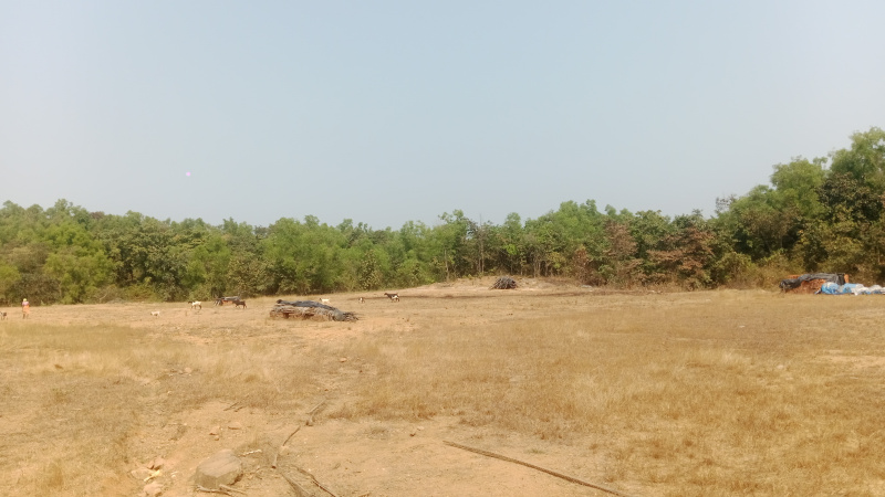  24 Acre Residential Plot for Sale in Kudal, Sindhudurg