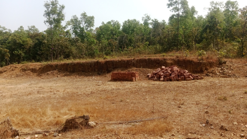  24 Acre Residential Plot for Sale in Kudal, Sindhudurg